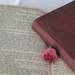 Vintage Red Books Set of 2